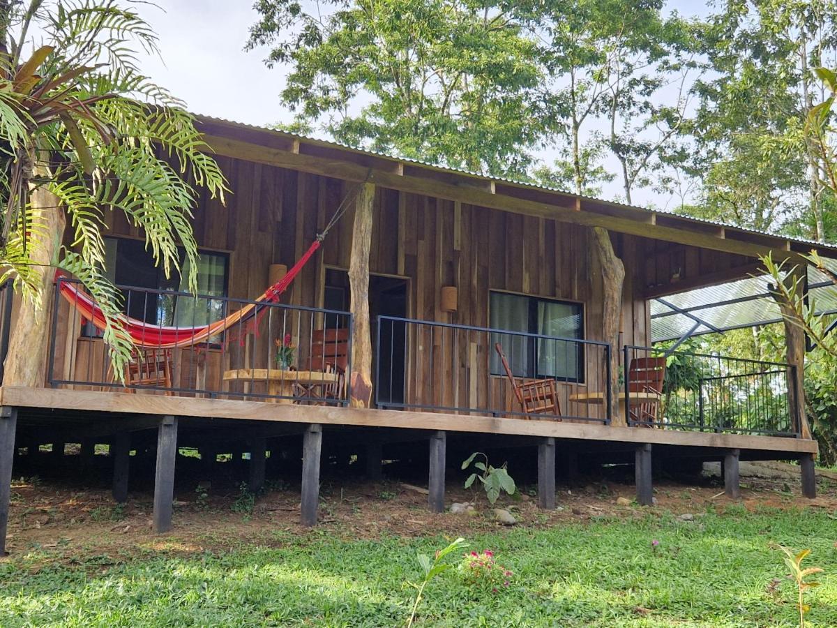 Finca Amistad Cacao Lodge ビハグア エクステリア 写真