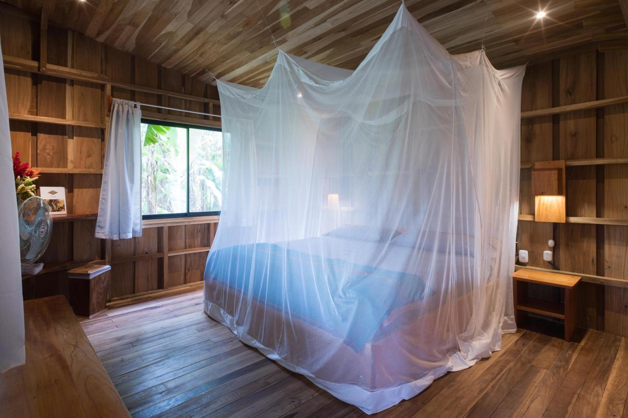 Finca Amistad Cacao Lodge ビハグア エクステリア 写真