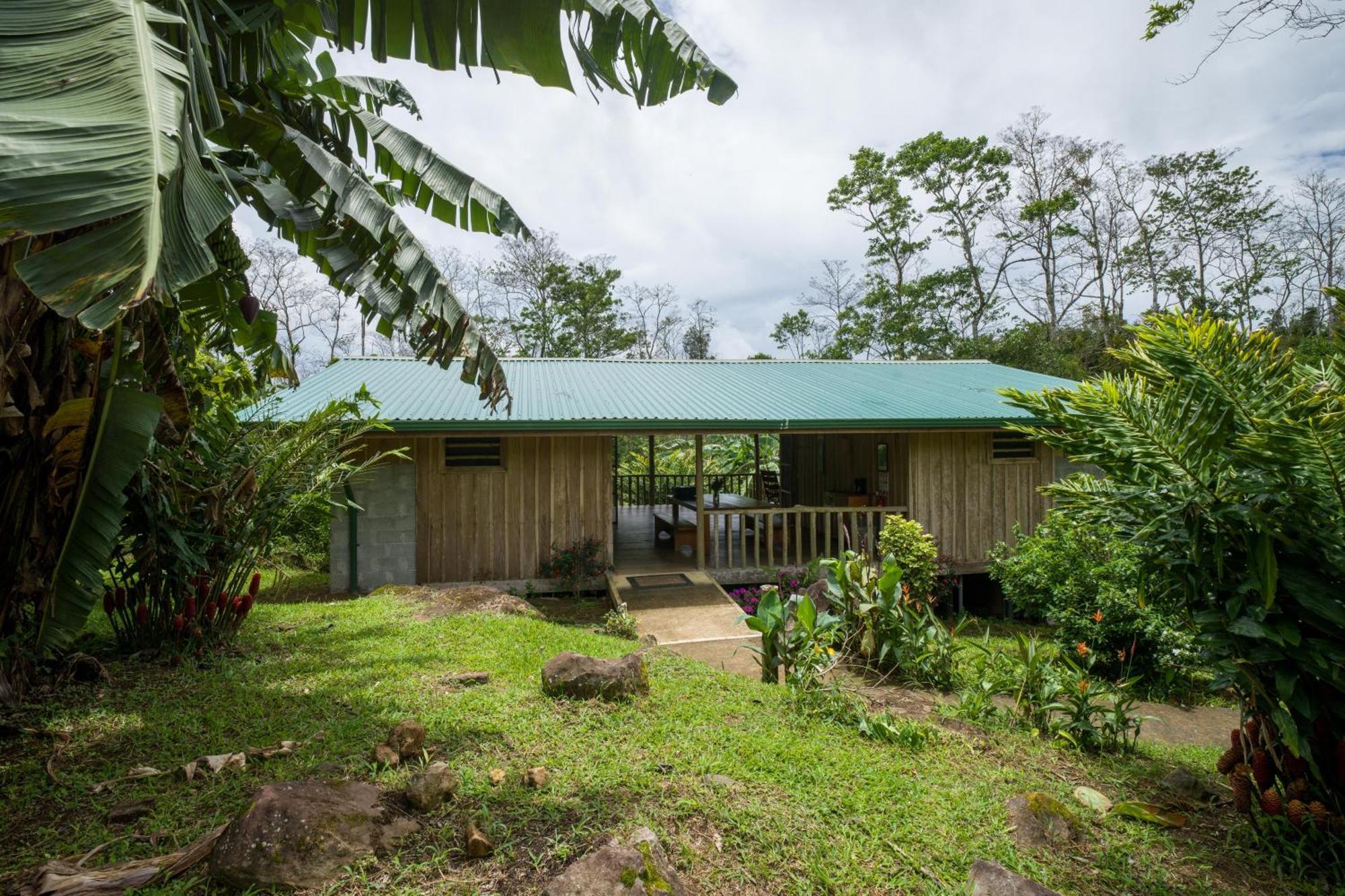 Finca Amistad Cacao Lodge ビハグア エクステリア 写真