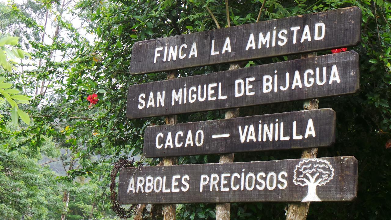 Finca Amistad Cacao Lodge ビハグア エクステリア 写真