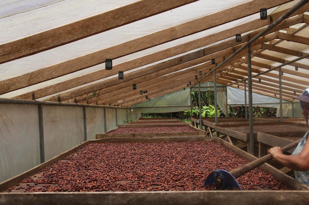 Finca Amistad Cacao Lodge ビハグア エクステリア 写真