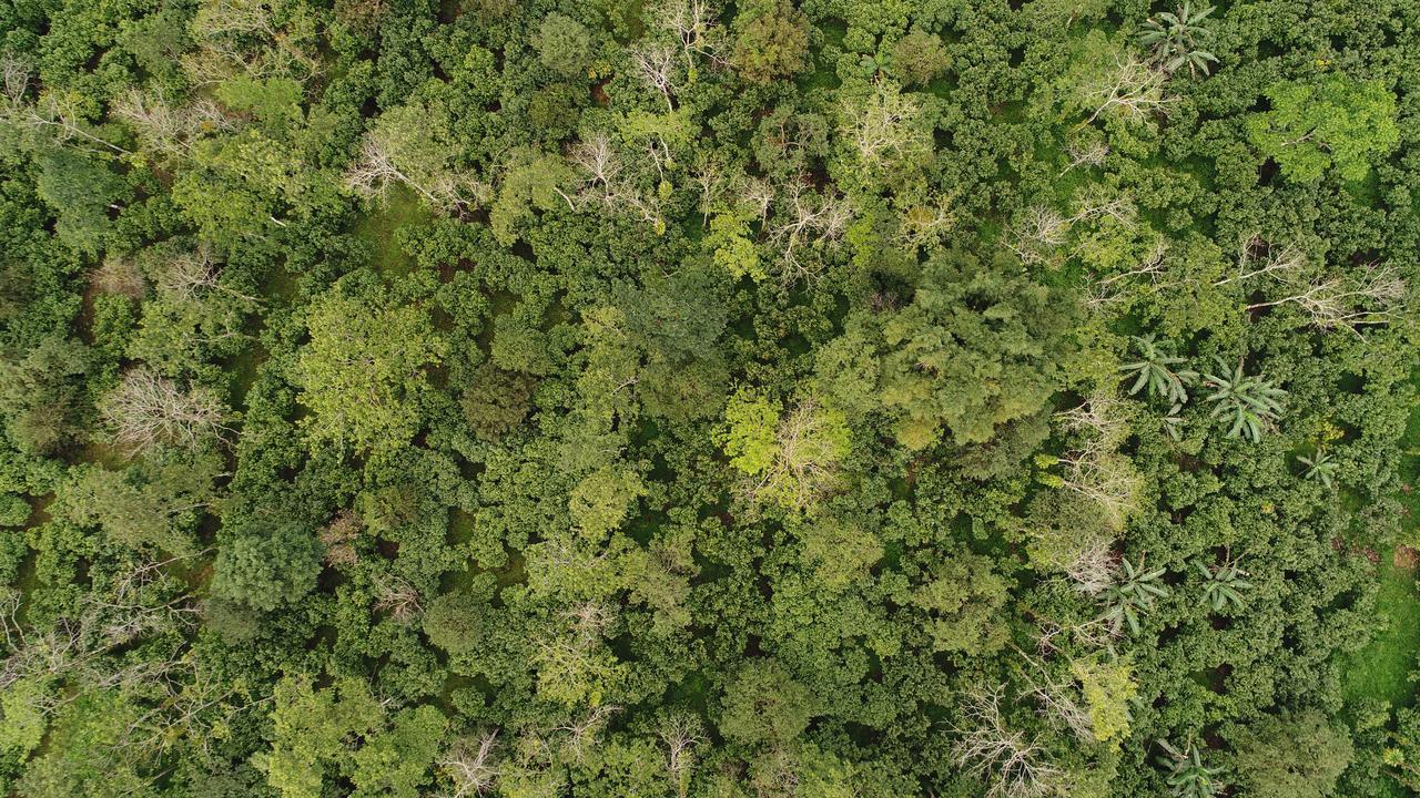 Finca Amistad Cacao Lodge ビハグア エクステリア 写真