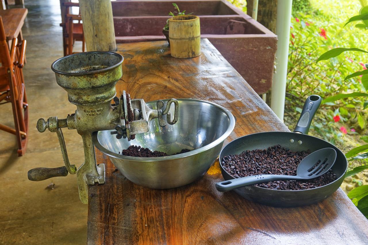 Finca Amistad Cacao Lodge ビハグア エクステリア 写真