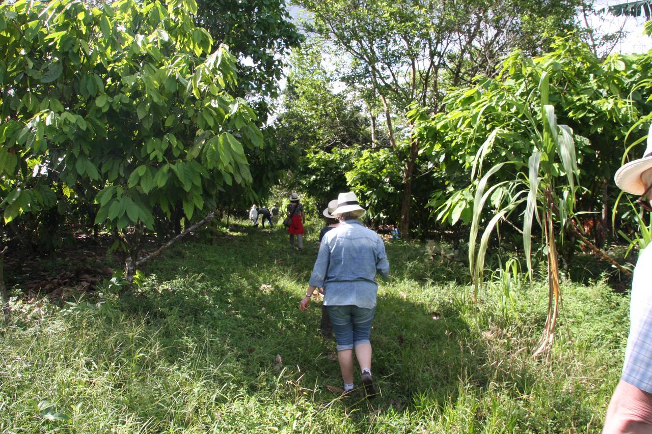 Finca Amistad Cacao Lodge ビハグア エクステリア 写真