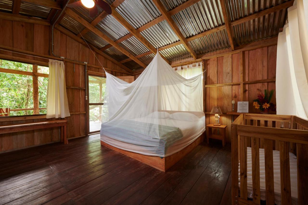 Finca Amistad Cacao Lodge ビハグア エクステリア 写真
